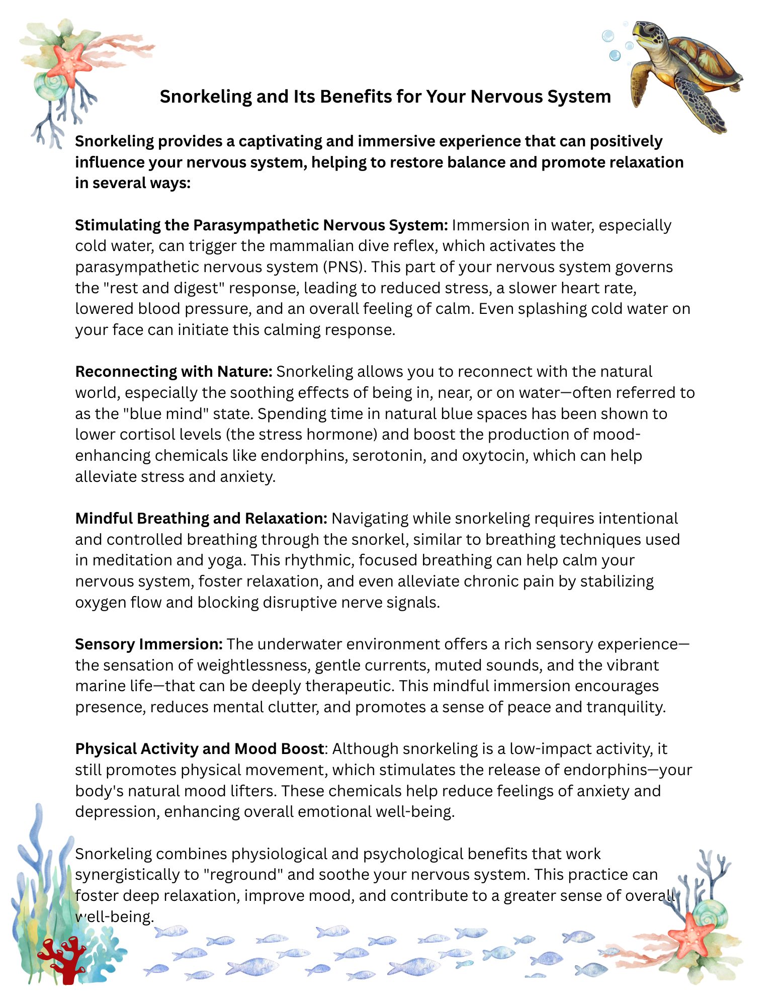 Snorkeling into healing: A Pre- Conference Reset - Image 2